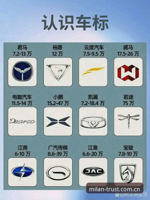 掌握米兰正品查询的5个关键步骤，轻松识别官方渠道